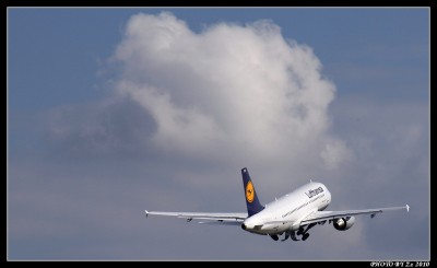 Lufthansa Airbus 1.jpg