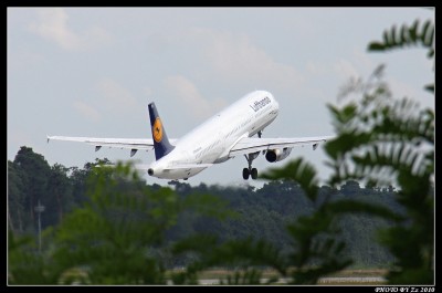 Lufthansa Airbus.jpg